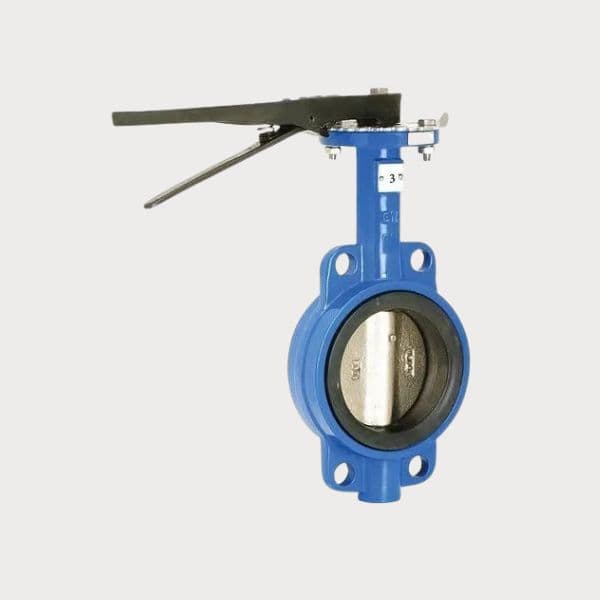 3 Inch Butterfly Valve